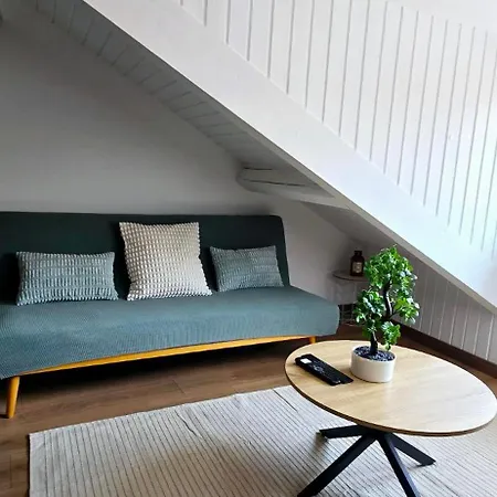 Appartamento Le Charme De La Grande Rue Thonon-les-Bains